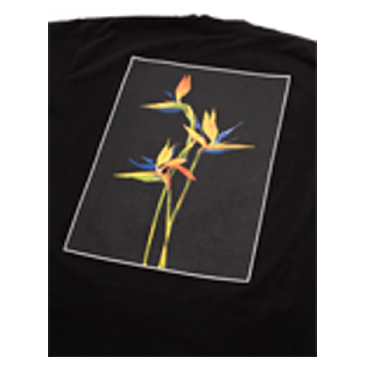 Birds of Paradise T-shirt - Black